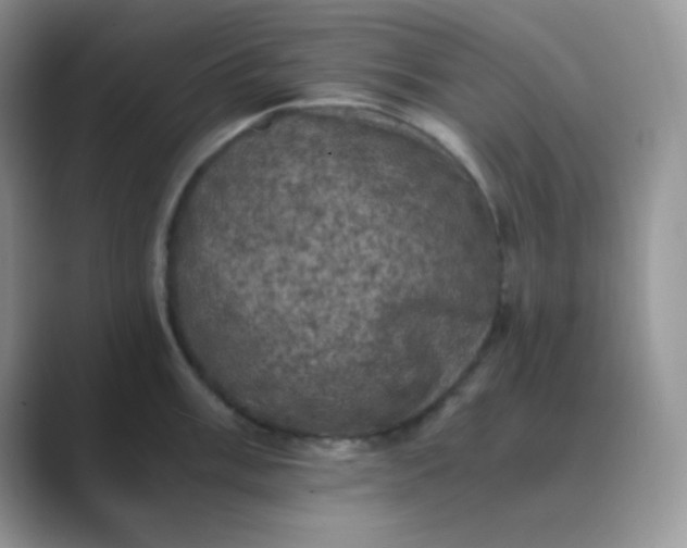 X0000089691003200707051621