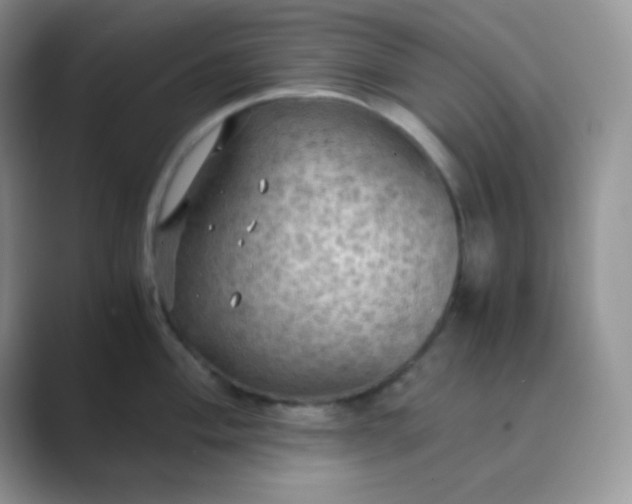 X0000089691004200707051621