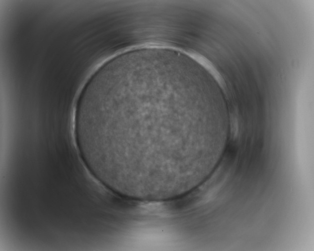 X0000089691006200707051621