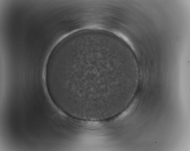 X0000089691007200707051621