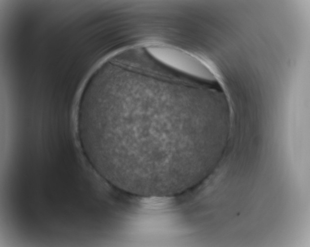 X0000089691008200707051621