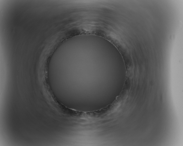 X0000089691009200707051621