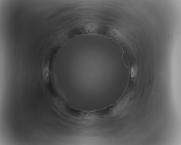 X0000089691011200707051621