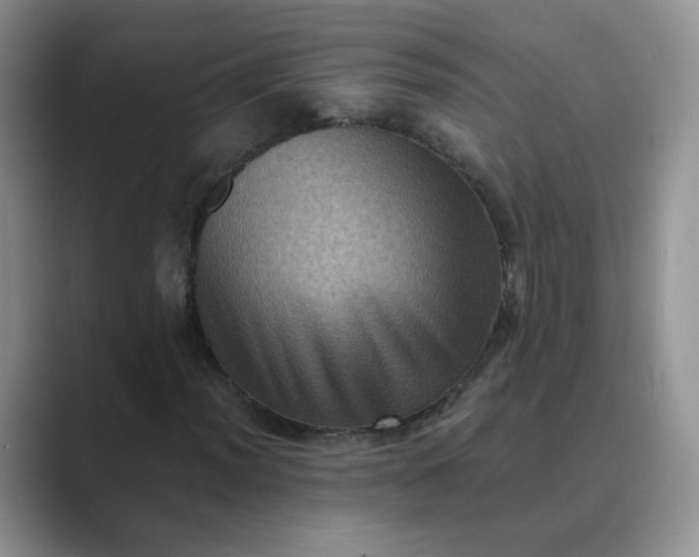 X0000089691012200707051621