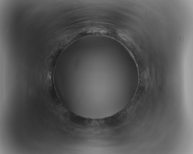 X0000089691013200707051621