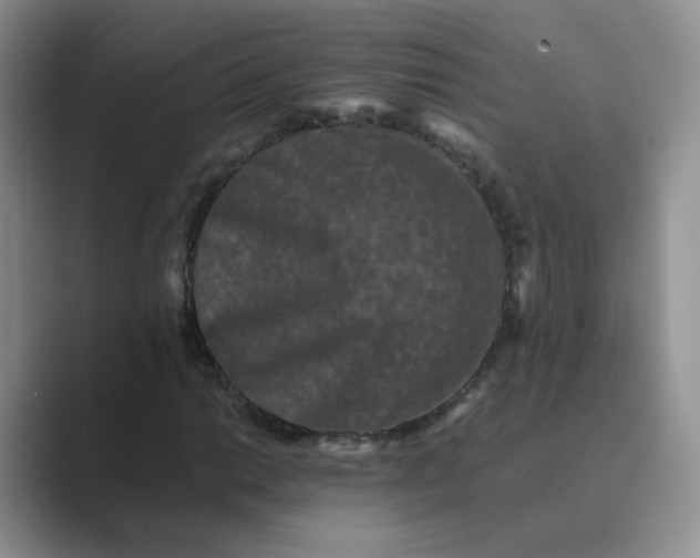 X0000089691014200707051621