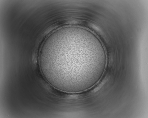 X0000089691017200707051621