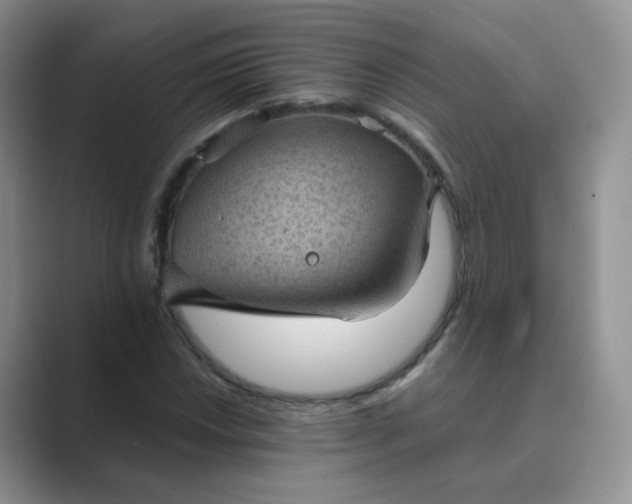 X0000089691018200707051621