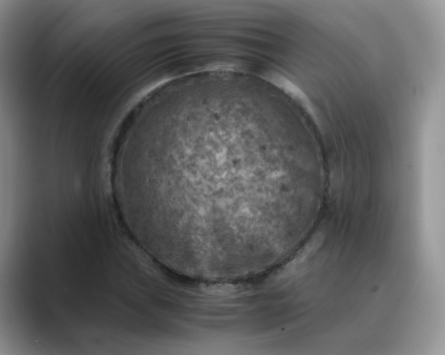 X0000089691019200707051621