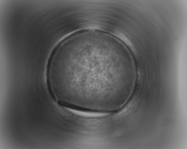 X0000089691020200707051621