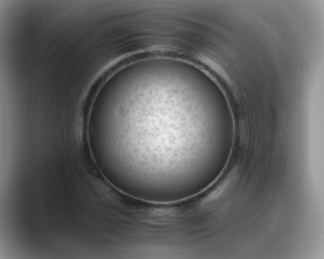 X0000089691021200707051621