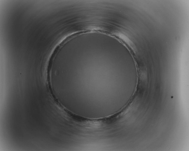 X0000089691023200707051621