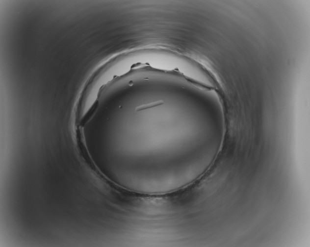 X0000089691024200707051621