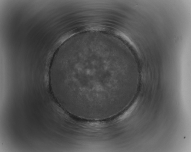 X0000089691025200707051621