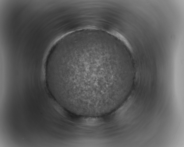 X0000089691027200707051621