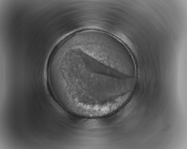 X0000089691028200707051621