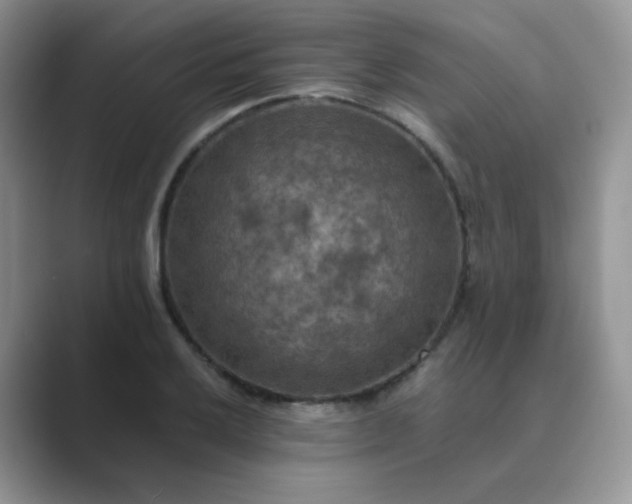 X0000089691032200707051621