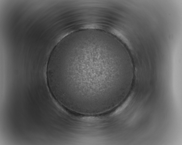 X0000089691033200707051621