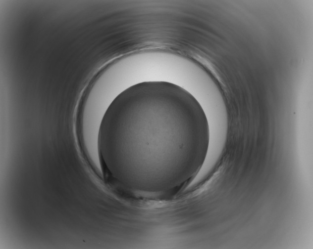 X0000089691034200707051621