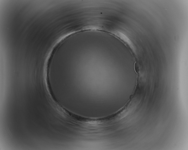 X0000089691035200707051621