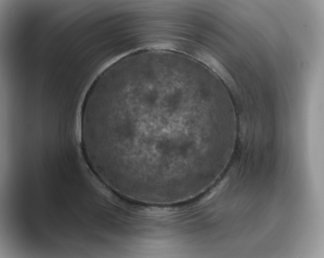 X0000089691036200707051621