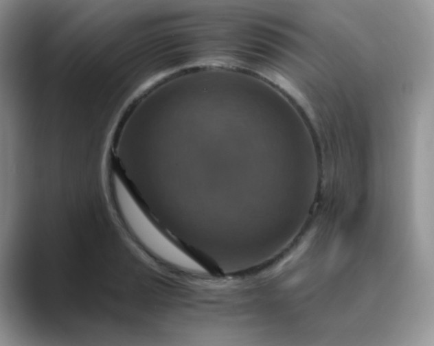 X0000089691037200707051621