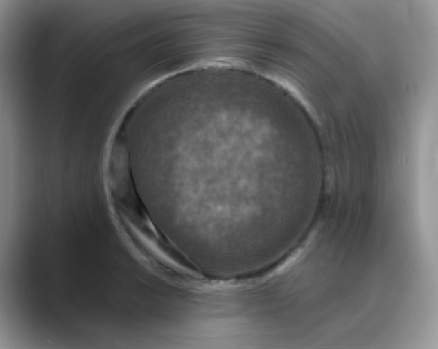 X0000089691038200707051621