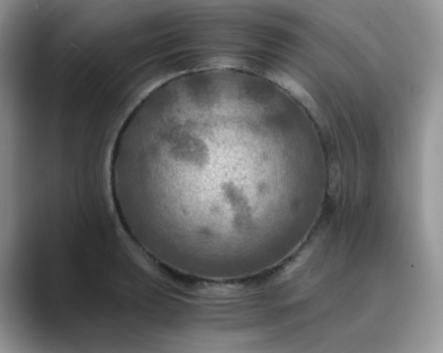 X0000089691039200707051621