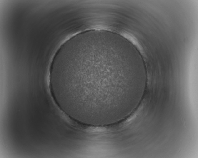 X0000089691040200707051621