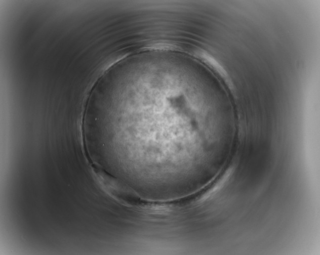 X0000089691041200707051621