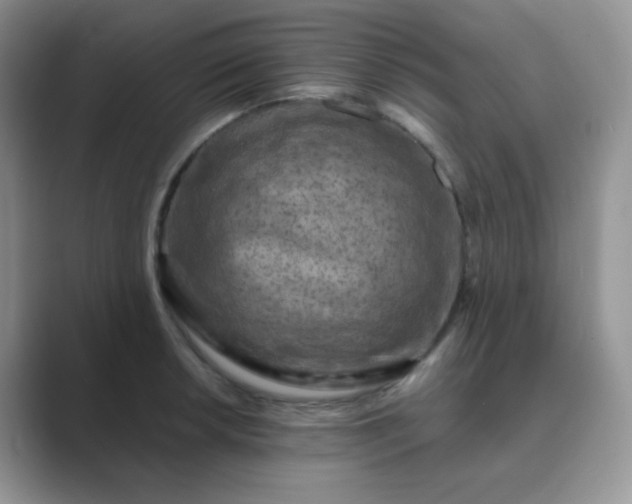 X0000089691042200707051621