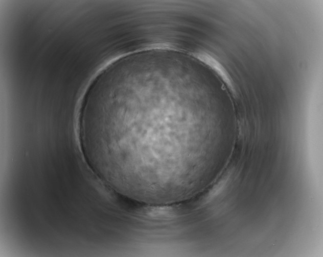 X0000089691043200707051621