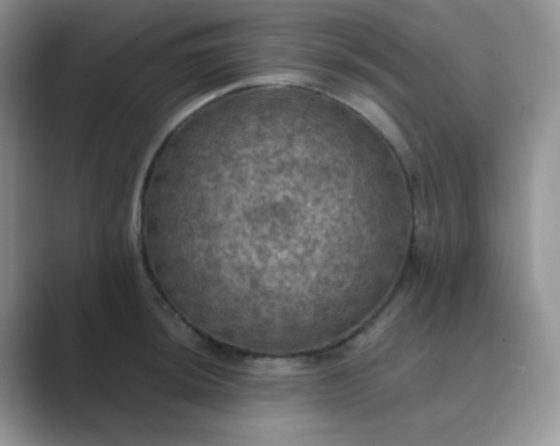 X0000089691044200707051621