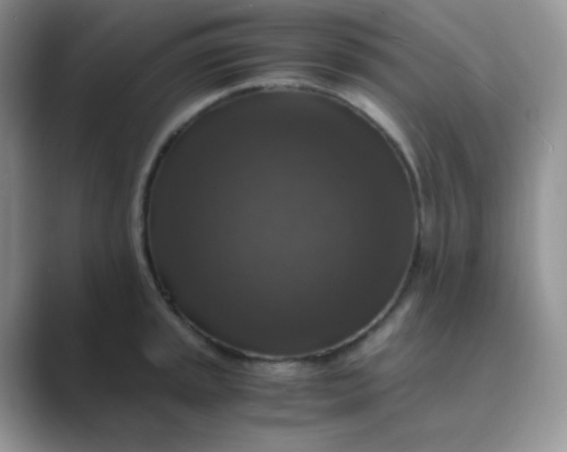 X0000089691045200707051621