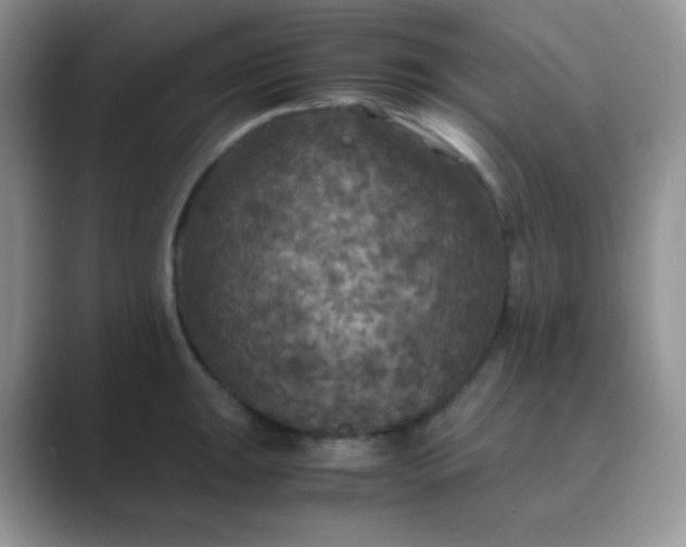 X0000089691047200707051621