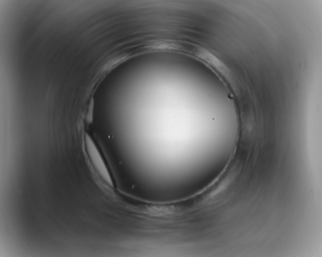 X0000089691049200707051621