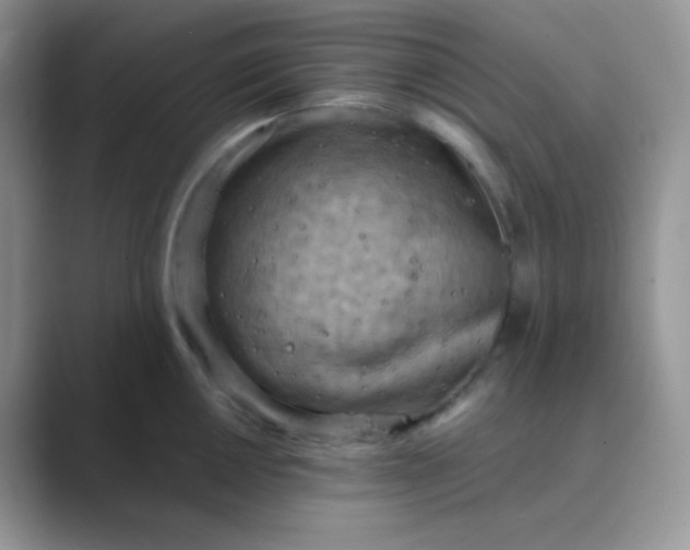 X0000089691050200707051621