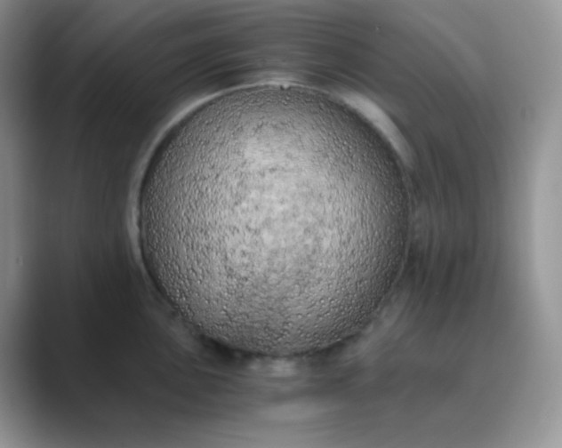 X0000089691051200707051621