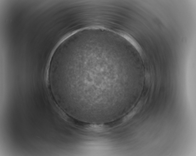 X0000089691052200707051621