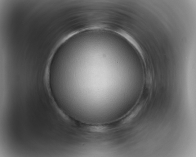 X0000089691053200707051621