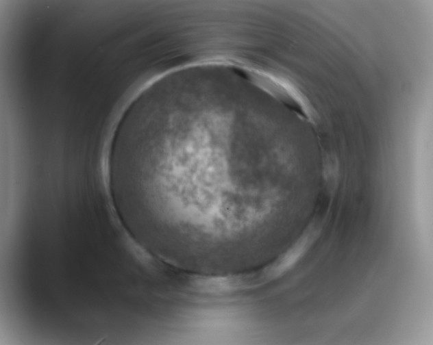 X0000089691054200707051621