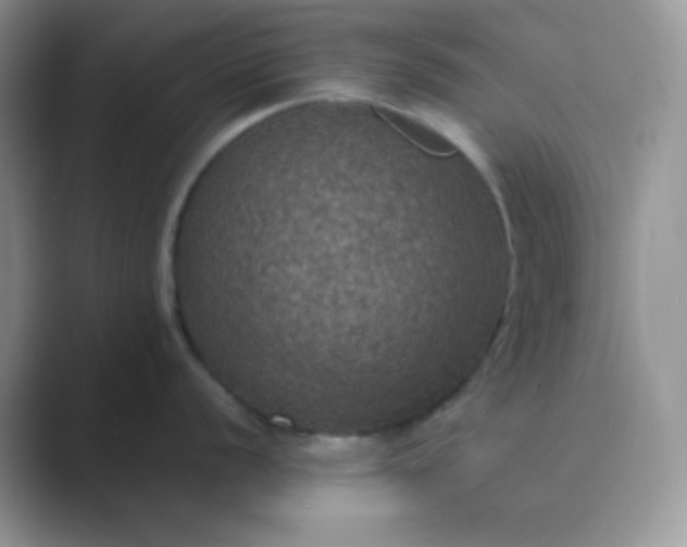 X0000089691056200707051621