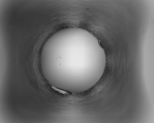 X0000089691057200707051621