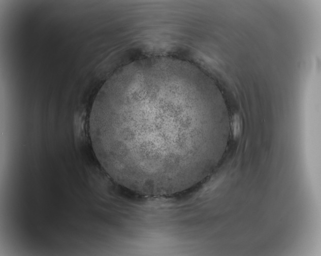 X0000089691059200707051621