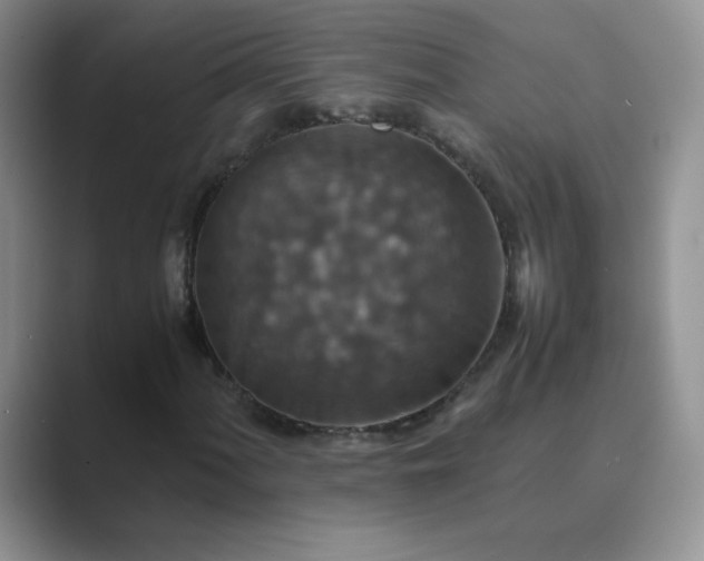 X0000089691060200707051621