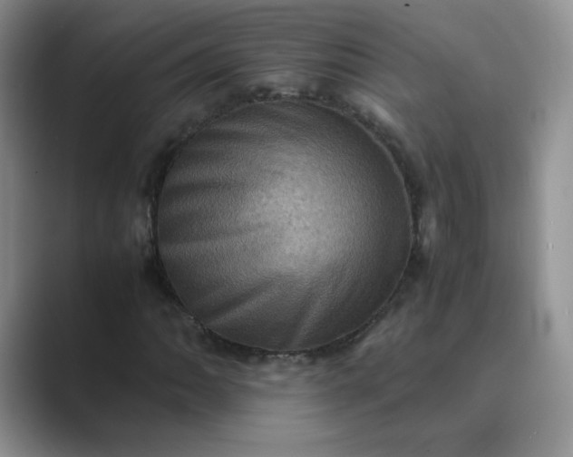 X0000089691062200707051621