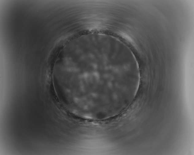 X0000089691063200707051621