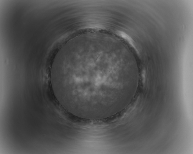 X0000089691064200707051621