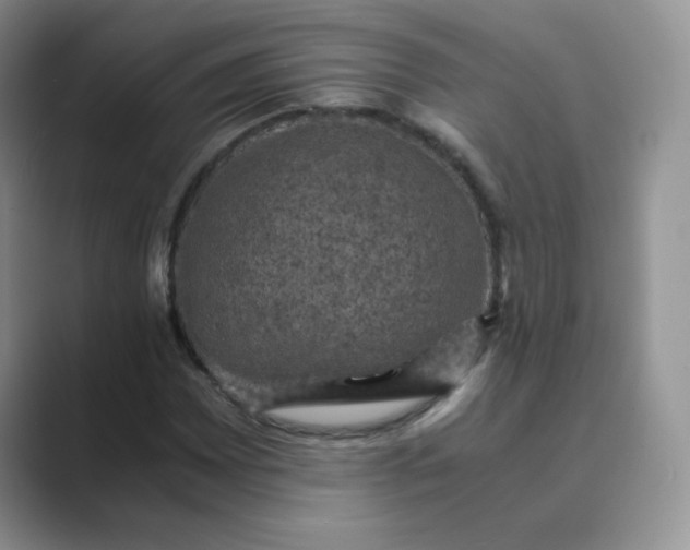 X0000089691065200707051621