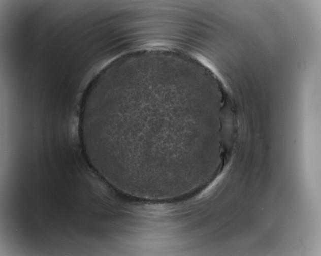 X0000089691066200707051621